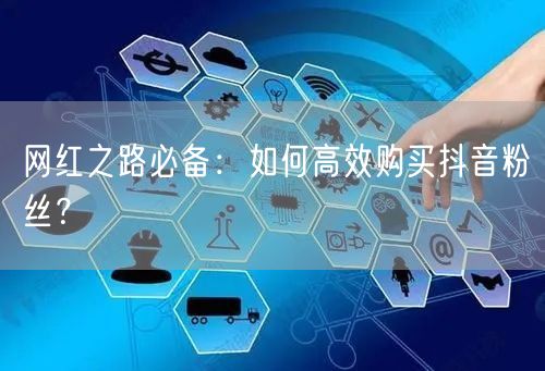 网红之路必备：如何高效购买抖音粉丝？