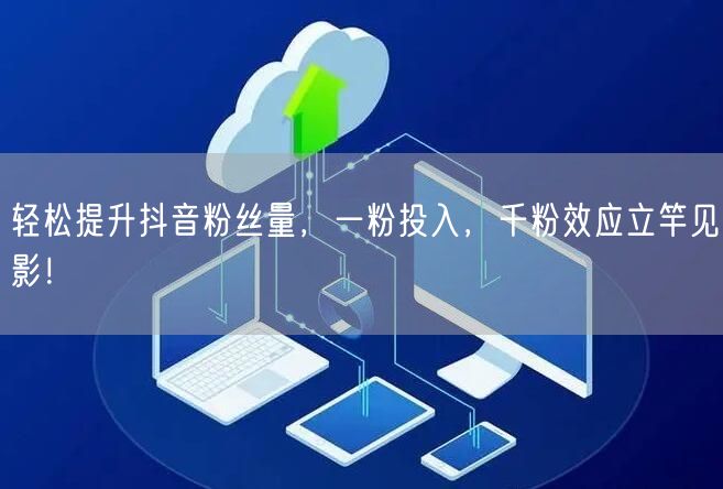 轻松提升抖音粉丝量，一粉投入，千粉效应立竿见影！