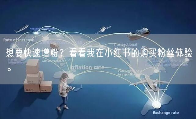 想要快速增粉？看看我在小红书的购买粉丝体验。