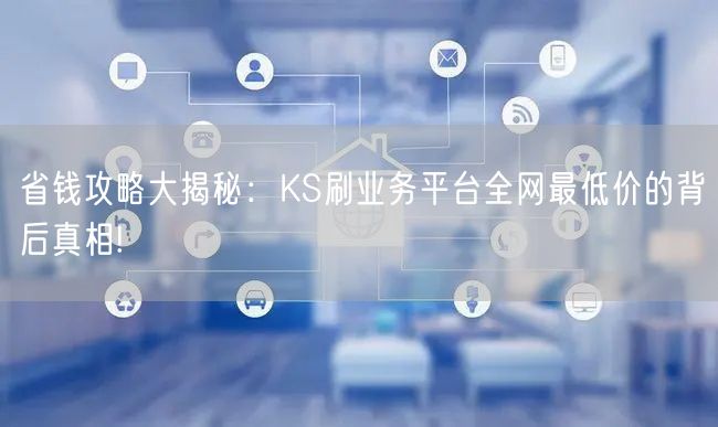 省钱攻略大揭秘：KS刷业务平台全网最低价的背后真相!