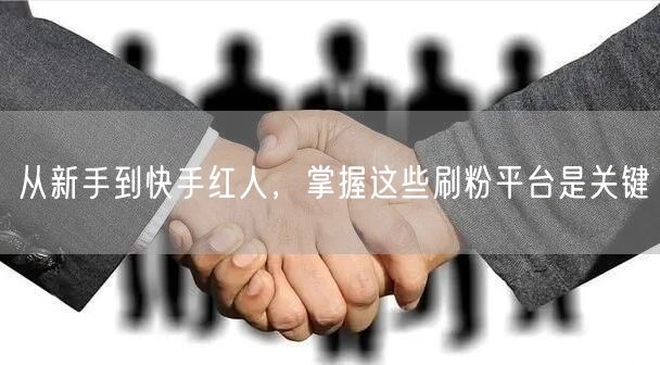 从新手到快手红人，掌握这些刷粉平台是关键