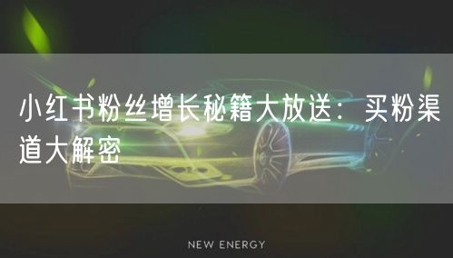 小红书粉丝增长秘籍大放送：买粉渠道大解密