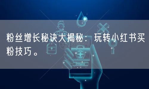 粉丝增长秘诀大揭秘：玩转小红书买粉技巧。