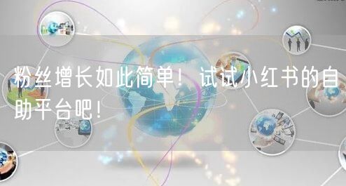 粉丝增长如此简单！试试小红书的自助平台吧！