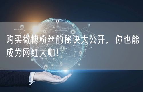 购买微博粉丝的秘诀大公开，你也能成为网红大咖！